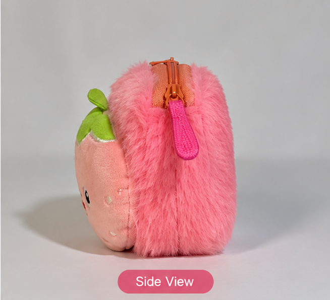 Money Pouch