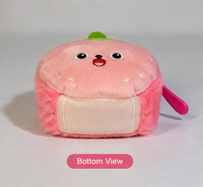 Money Pouch